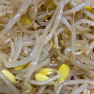 安くて旨い コンソメもやしナムル レシピ 作り方 By みんとa 楽天レシピ 安くて旨い コンソメもやしナムル レシピ 作り方 By みんとa 楽天レシピ